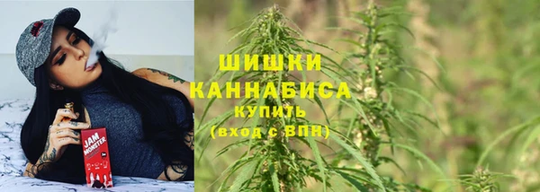 индика Покачи