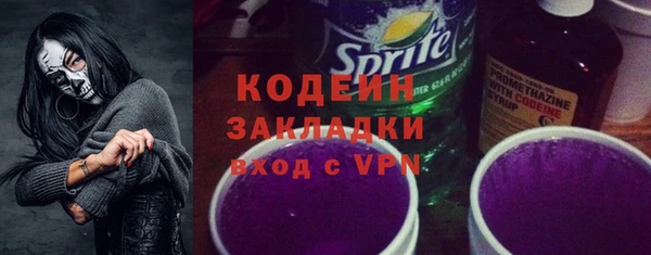 индика Покачи