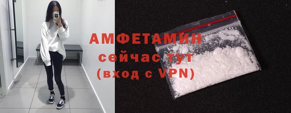 индика Покачи