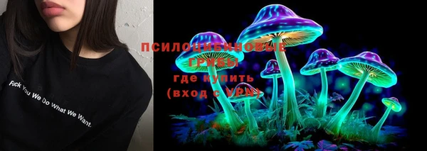 индика Покачи