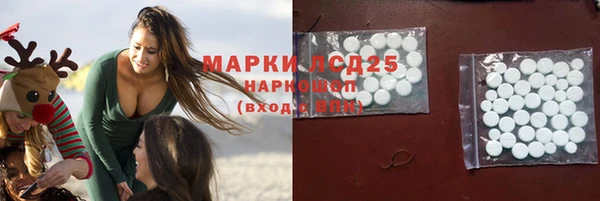 индика Покачи