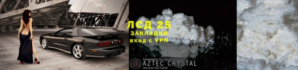 индика Покачи