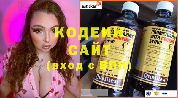 индика Сосновый Бор