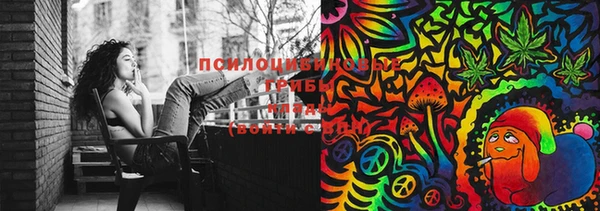 индика Покачи