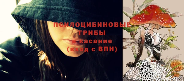 шишки Михайлов