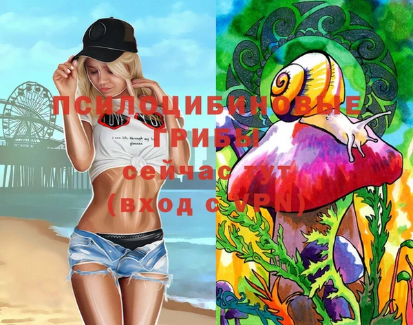 spice Покровск