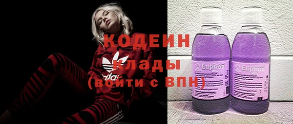 индика Покачи