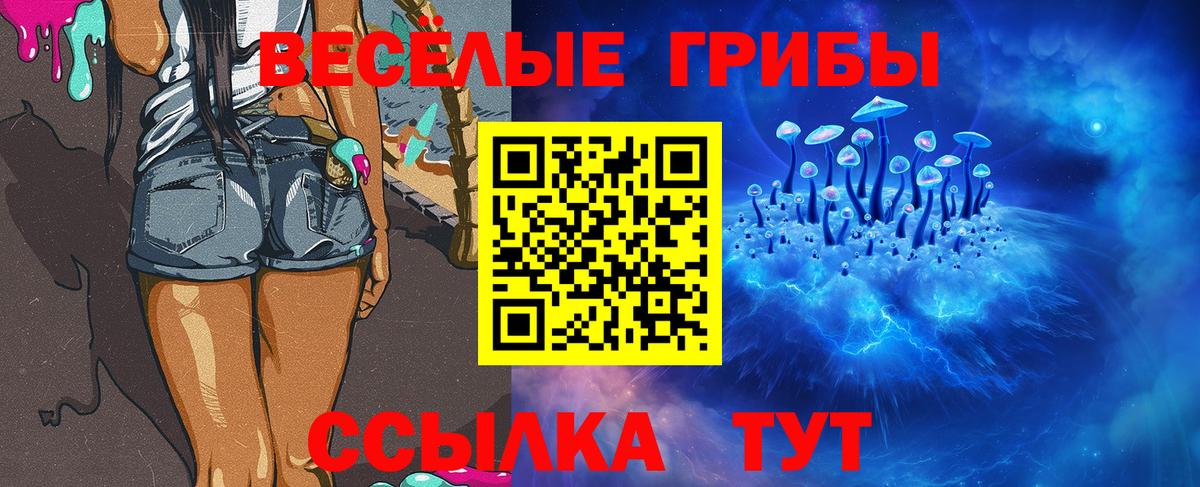 Галлюциногенные грибы Psilocybe  Галлюциногенные грибы MAGIC MUSHROOMS  Кувандык 