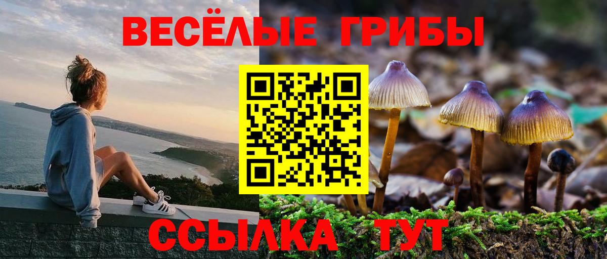 Кувандык  Галлюциногенные грибы Cubensis  Вход с VPN 